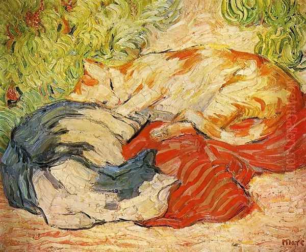Cats - view 1