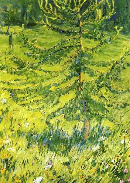 Larch Sapling - view 1