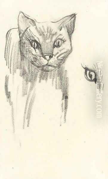 Katze - view 1