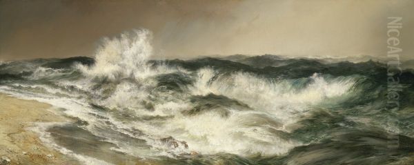 The Much Resounding Sea - view 1