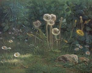 Dandelions