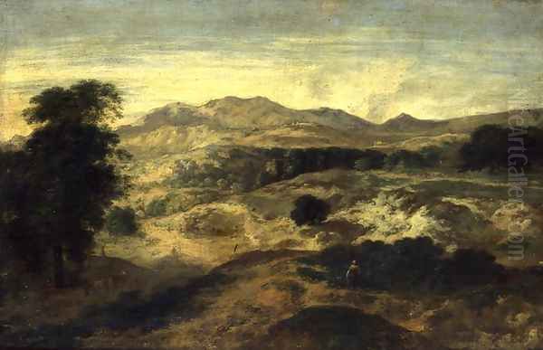 Landscape - view 1