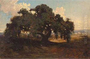 Le Vieux Maronnier Le Vieux Maronnier