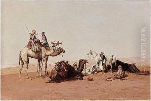 A Caravan Of Camels