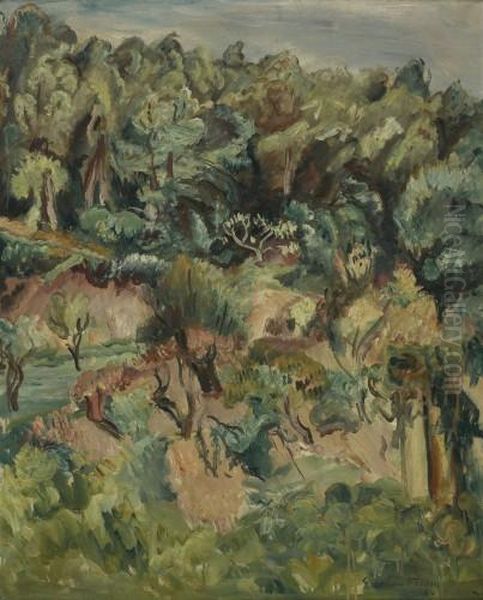 Paysage Aux Oliviers - view 1