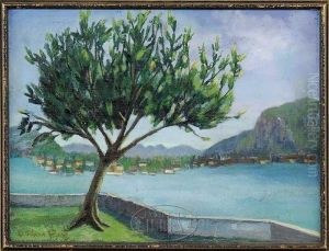 Overlooking Capri
