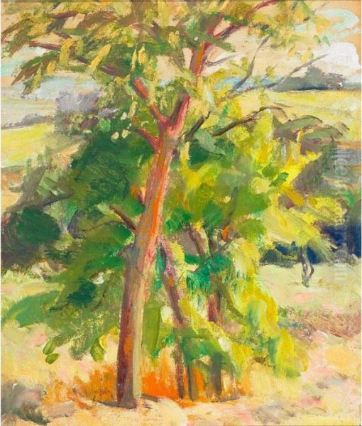 Sunny Summer Landscape - view 1