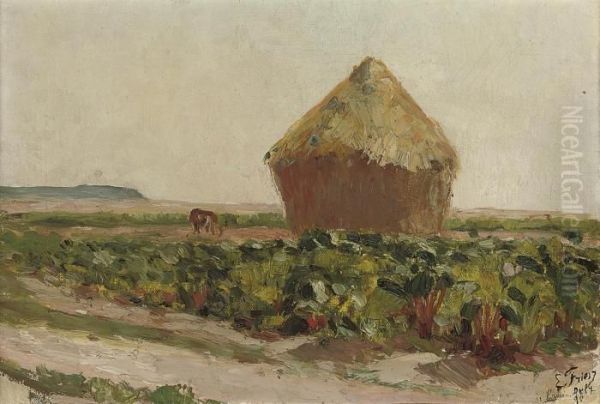 Paysage - view 1