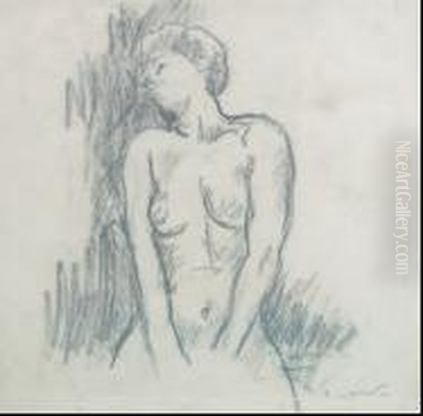 Nu Assis - view 1