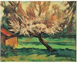 Pommier En Fleurs