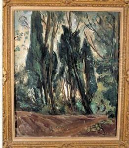 "sentier Dans Le Bois", Vers 1924 "sentier Dans Le Bois", Vers 1924
