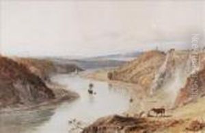 The Avongorge, Bristol