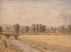 View Of A Village Across A Cornfield