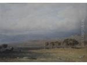 Sheep On The Moors