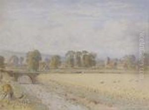 Pastoral Scene With Cornfield And Church Beyond
