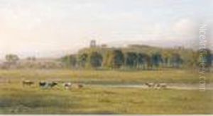 Cattle Grazing By Sherborne Old Castle, Dorset by George Arthur Fripp