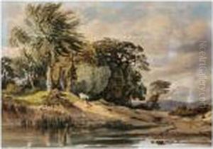 A Horse By A Flooded Track