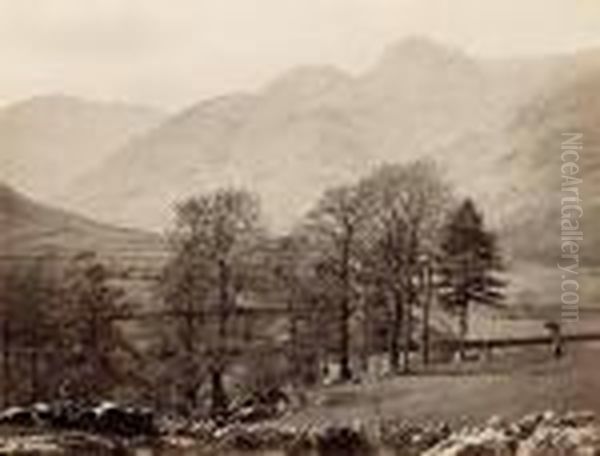 Albumen Prints - view 1
