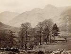 Albumen Prints by Francis Frith