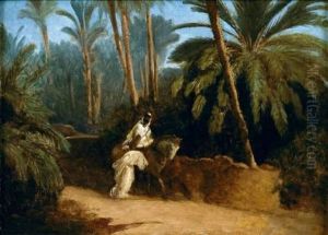 Cavalier Dans L'oasis De Laghouat