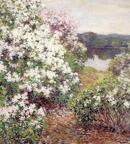 Mountain Laurel 1905 - view 1