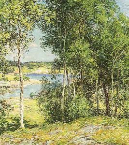 A Family of Birches