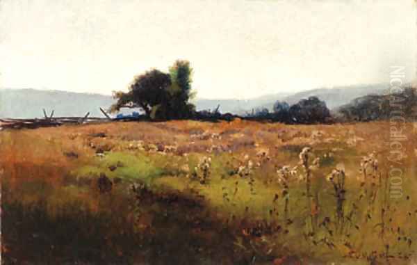 Mountain View from High Field 2 - view 1