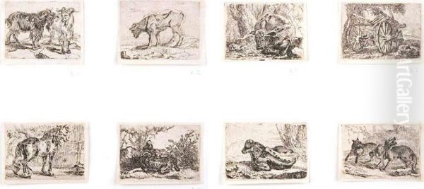 Set Of Animals - view 1