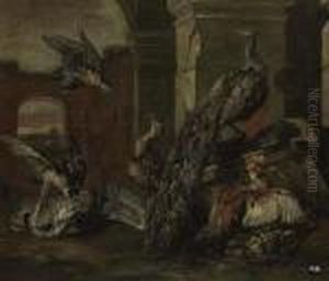 Falcons, A Crane, A Peacock And Other Birds In A Classicalruin Falcons, A Crane, A Peacock And Other Birds In A Classicalruin
