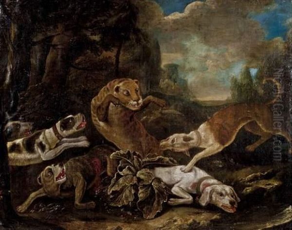 Attaque D'un Lion Par Des Chiens - view 1