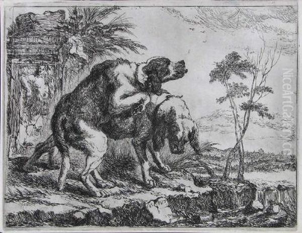 Sich Paarende Hunde - view 1