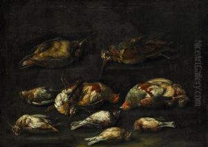 Nature Morte Nature Morte