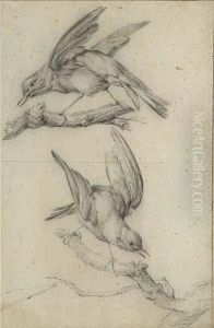 Studies Of Birds by Jan Fyt