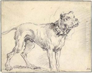 Study Of A Mastiff With A Leather Collar. by Jan Fyt