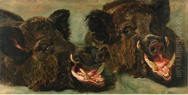 Studies Of The Head Of A Wild Boar - view 1