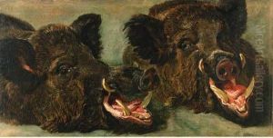 Studies Of The Head Of A Wild Boar by Jan Fyt