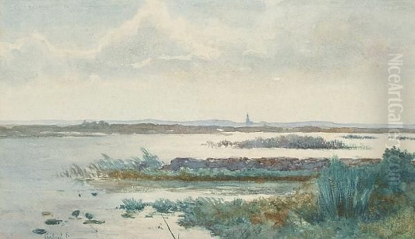 Water Meadows With Church Spire Beyond - view 1