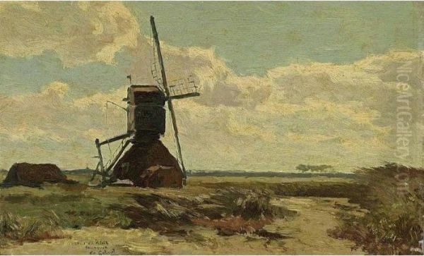 A Windmill In A Polder Landscape - view 1
