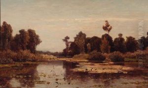 A River In A Wooded Landscape