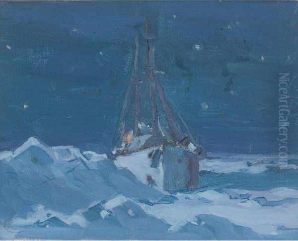 Arctic Night - view 1