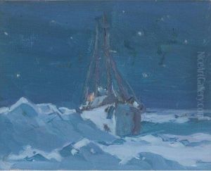 Arctic Night