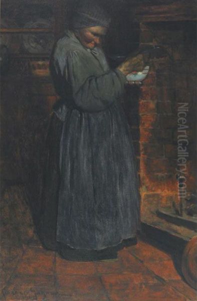 The Shy Model - view 1