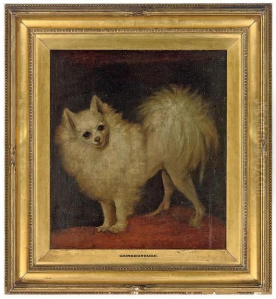 A Pomeranian - view 1