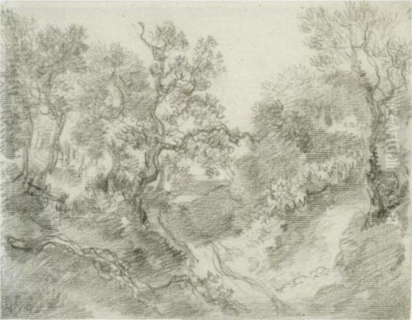 Wooded Landscape - view 1