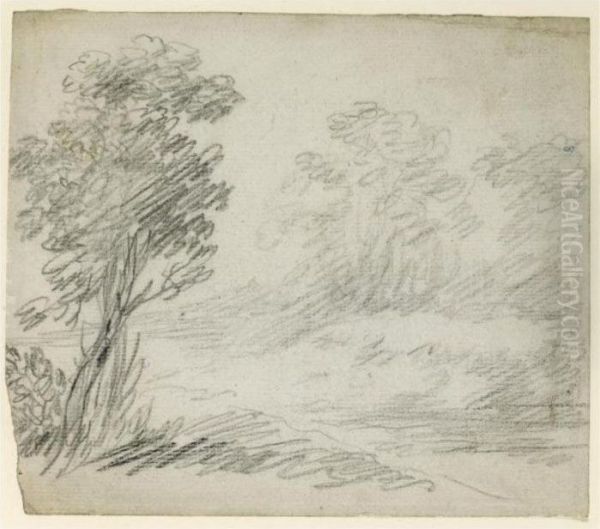 A Woodland Path - view 1