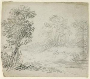 A Woodland Path