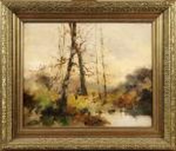 Foret En Automne - view 1