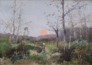 Femme Dans Un Paysage Au Coucher De Soleil