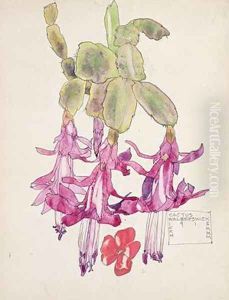 Cactus Flower by Charles Rennie Mackintosh