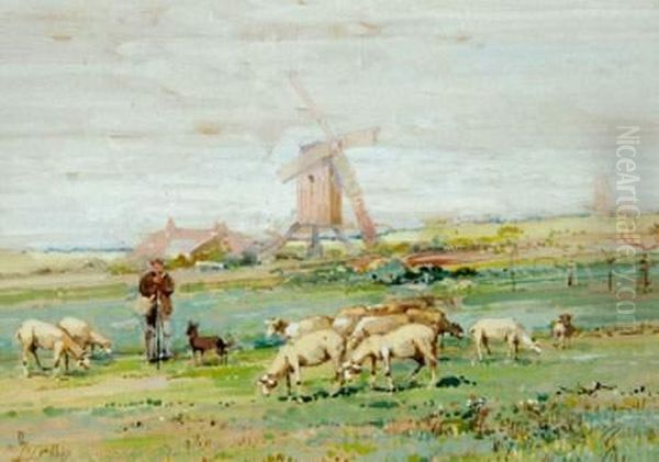 Troupeau De Brebis Dans Un Paysage Au Moulin - view 1